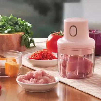 Mini Electric Food Chopper
